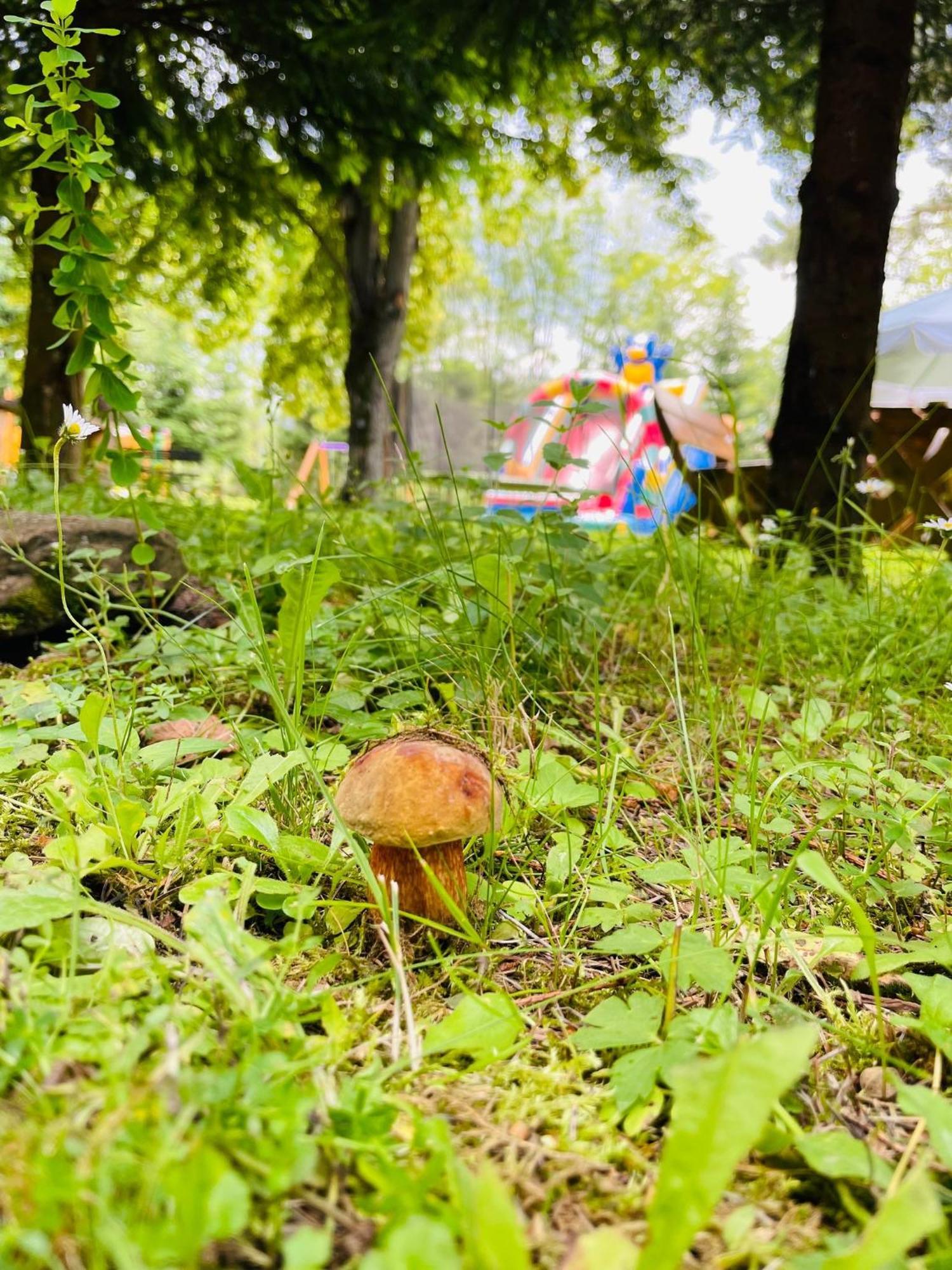 Osrodek Wczasow Zdrowotnych Rudawka Rymanowskaアパートメント エクステリア 写真